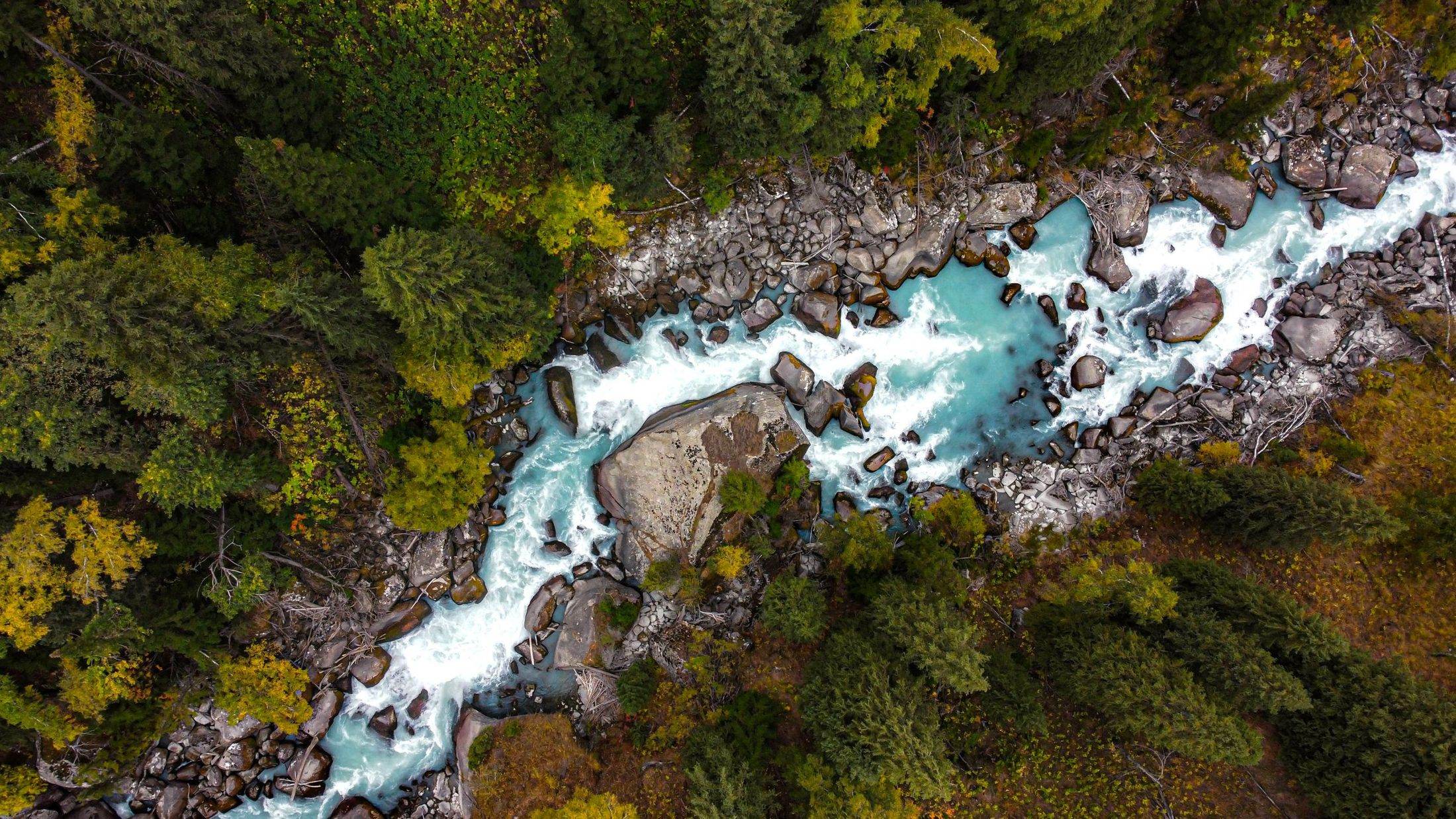Aerial view of a glacial river through forest
